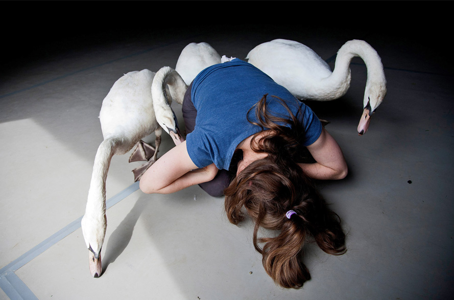Ms. Sinnaeve rehearsing with Lida, Pollux and Castor